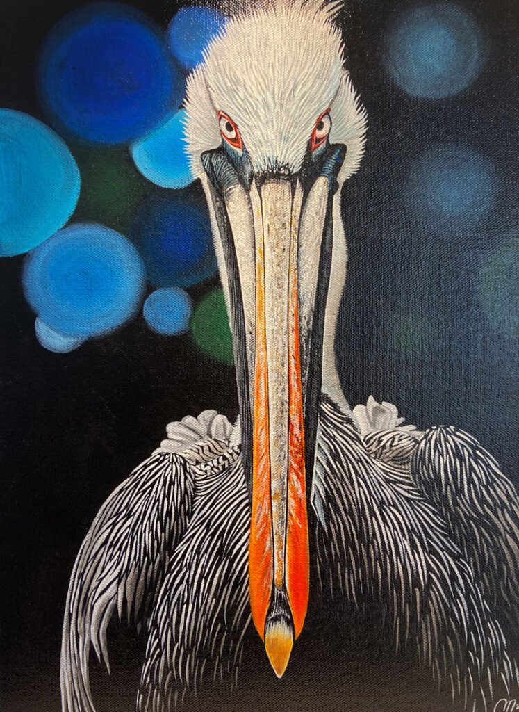 Pelican