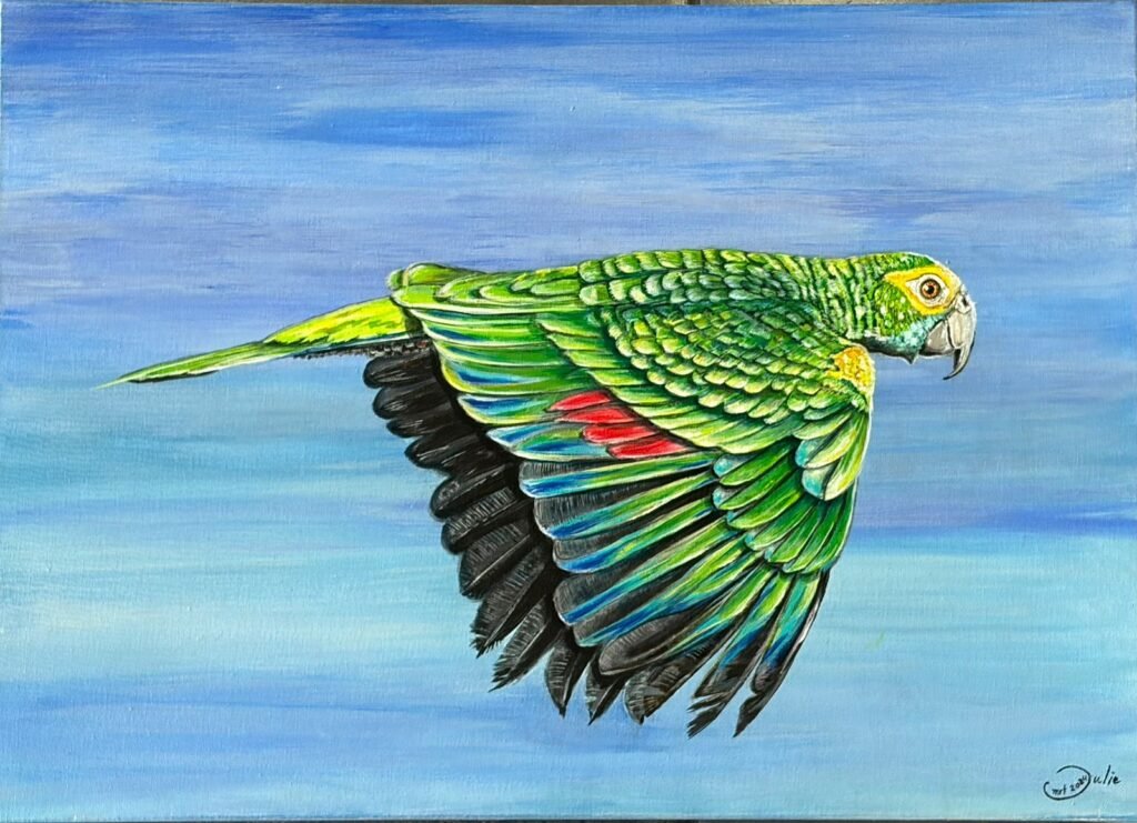 flight of freedom