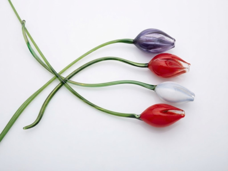 Tulips red and purple
